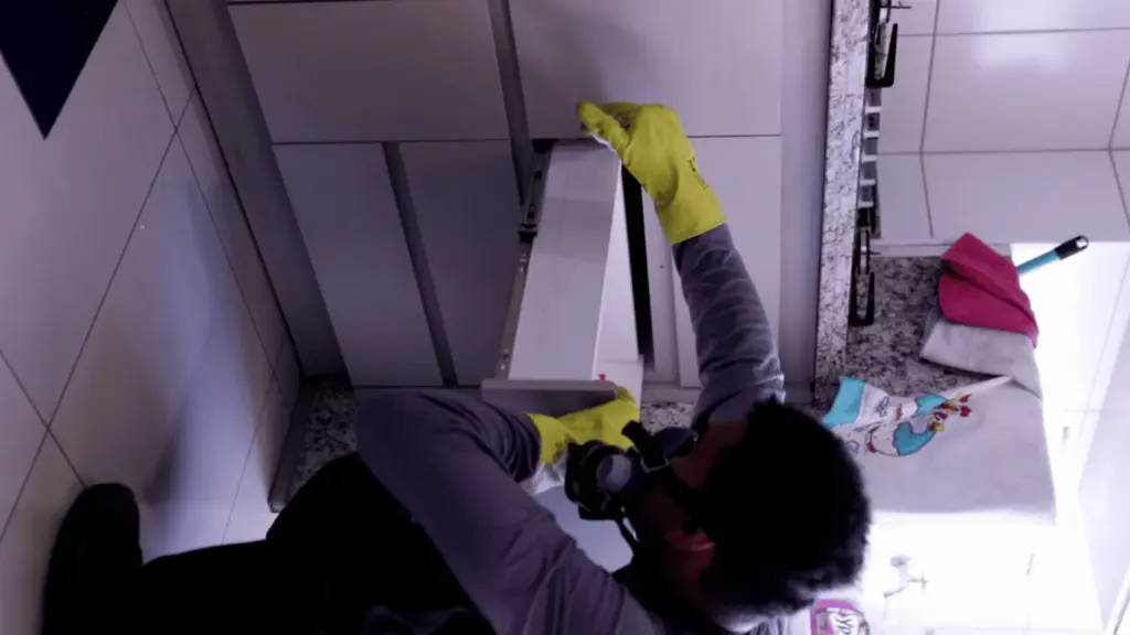 dedetização de formigas em apartamento