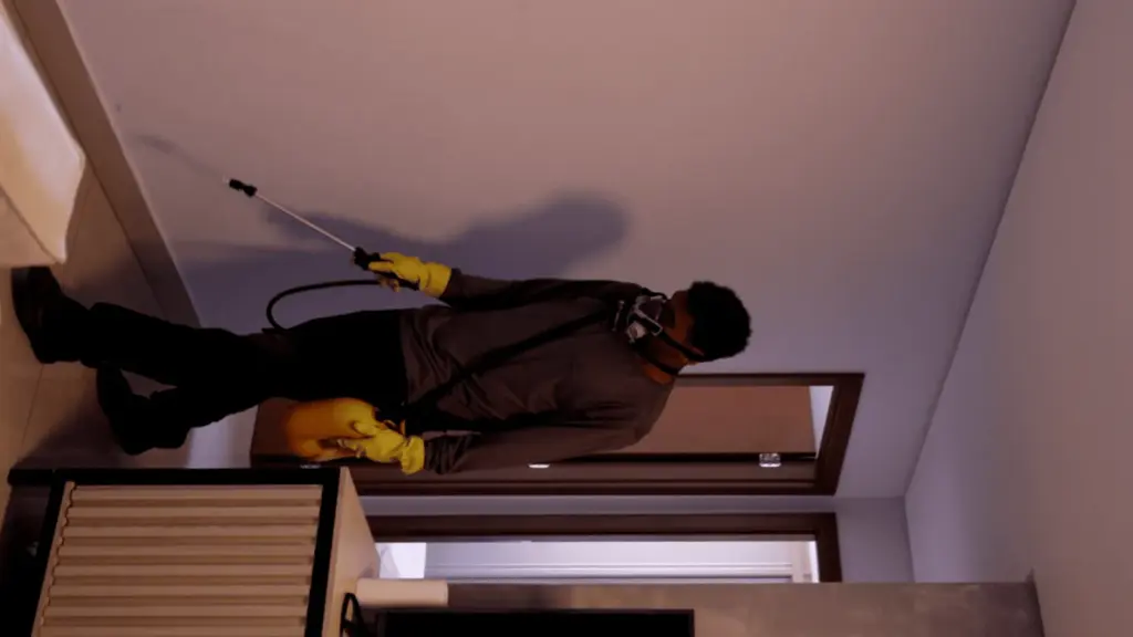 dedetização em apartamento