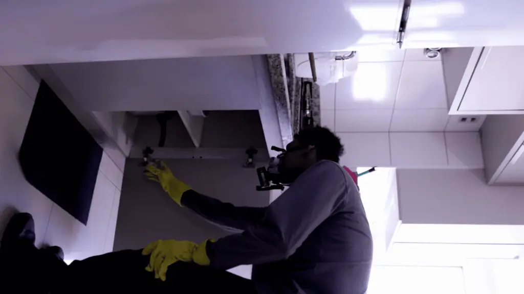 desinsetização de formigas